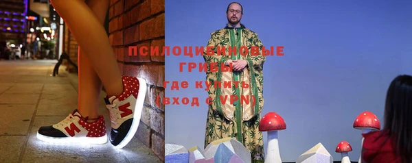 соль ск Новозыбков
