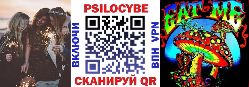 blacksprut как войти  Севск  Галлюциногенные грибы Psilocybe  что такое наркотик 